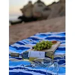 Casa Blu, Boho Chic, And Pool - Fast Wifi 公寓 珀彻斯