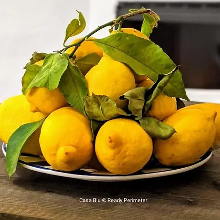 Casa Blu, Boho Chic, And Pool - Fast Wifi