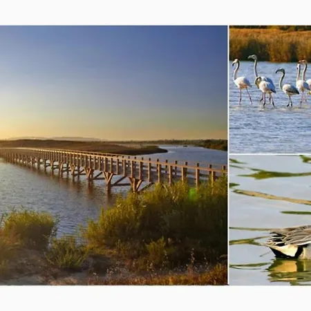 Casa Blu, Boho Chic, And Pool - Fast Wifi * Porches (Algarve)